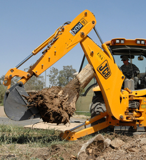 Stump Removal Hectorville, Tree Pruning Vale Park, Tree Trimming Walkerville