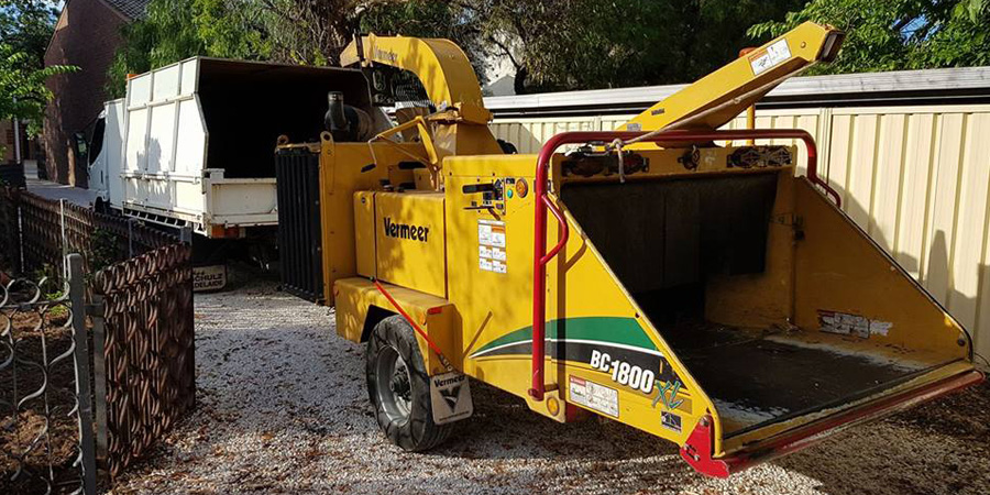 Stump Removal Walkerville, Tree Trimming Vale Park, Tree Shaping Hectorville, Stump Removal Newton