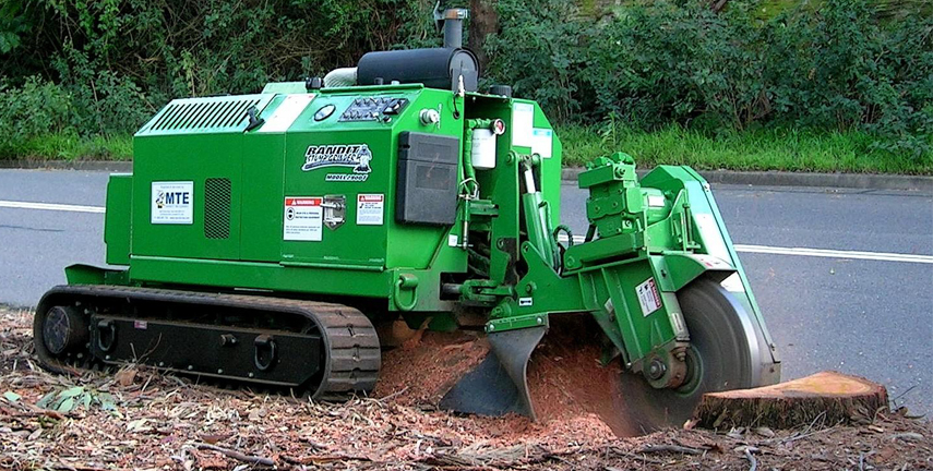 Stump Grinding Walkerville, Tree Trimming Newton, Tree Pruning Hectorville