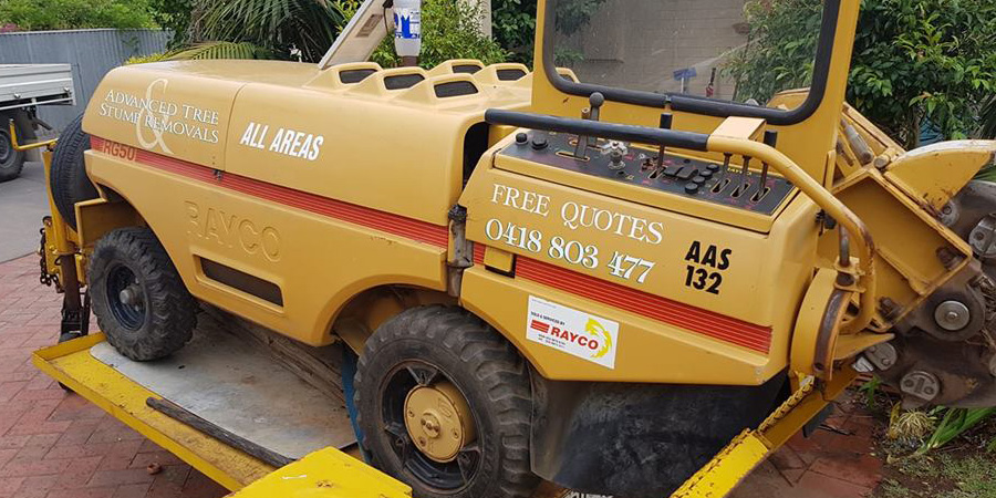 Tree Trimming Gippsland, Tree Removal Hectorville, Tree Pruning Vale Park, Stump Grinding Newton