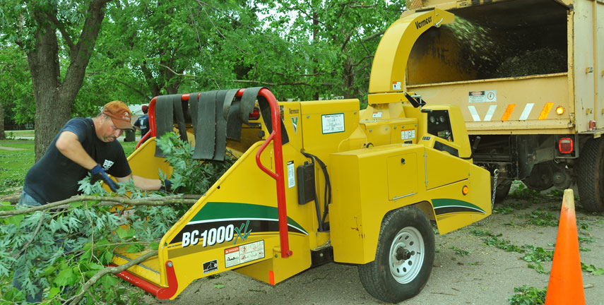 Tree Trimming Vale Park, Stump Grinding Hectorville, Tree Pruning Newton